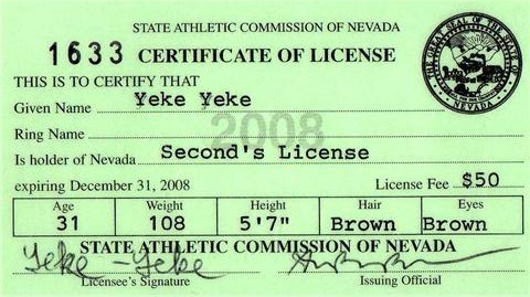 2008  license